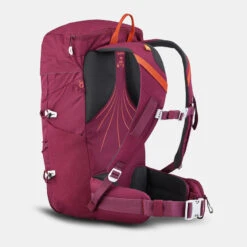 Quechua Rugzak Voor Bergwandelen MH100 20 Liter -Quechua rugzak voor bergwandelen mh100 20 liter 3