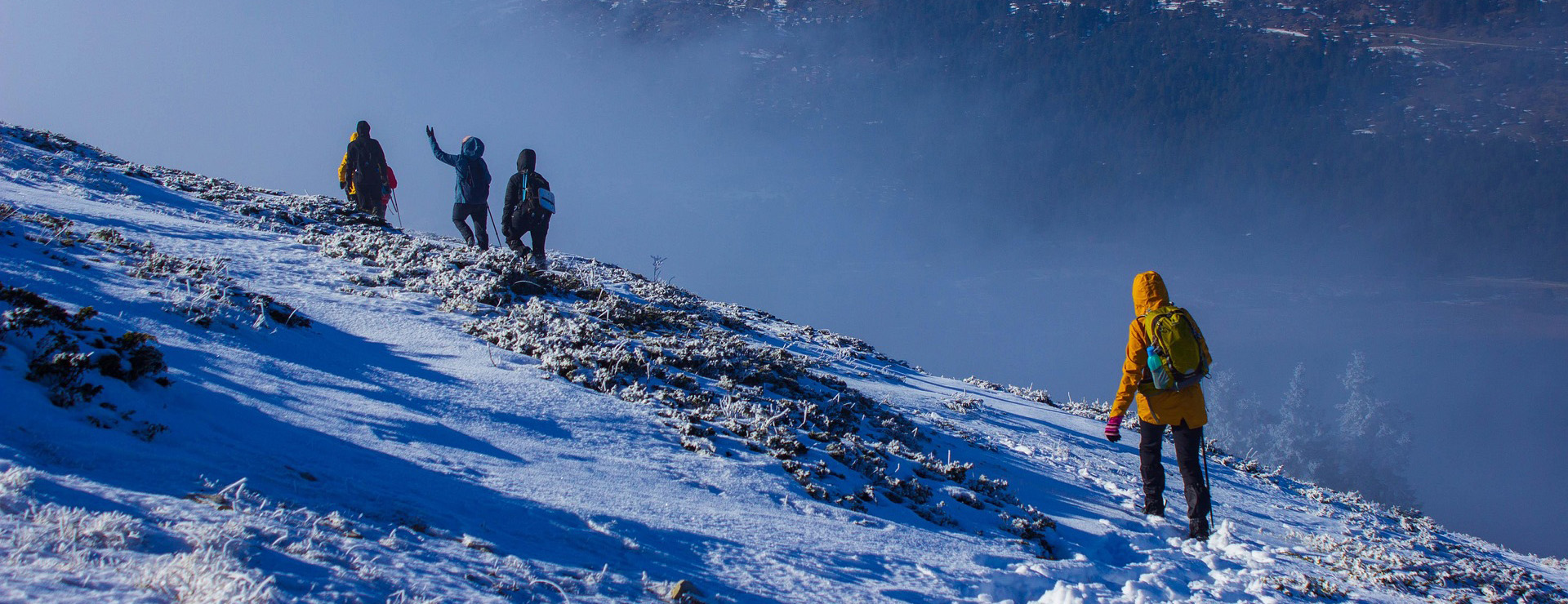 Quechua -Quechua hiking 7712678 1920